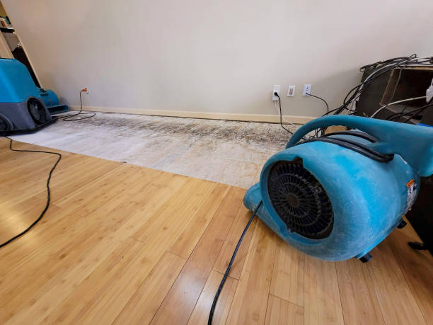 Professional Water Removal technician working in Cherry Point, NC